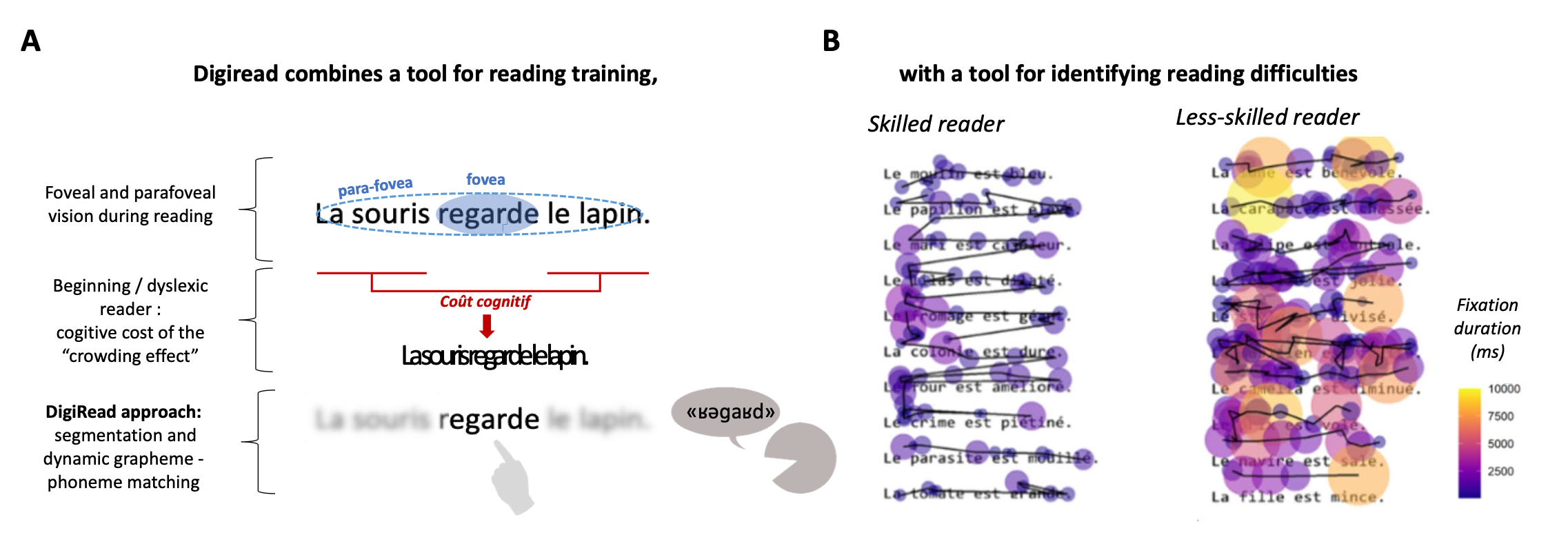 DigiRead training and assessment figure