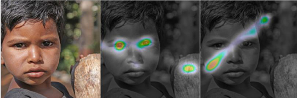 Face exploration maps